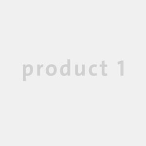 Lorem ipsum dolor sit amet, consectetur adipiscing elit. Maecenas placerat elementum iaculis